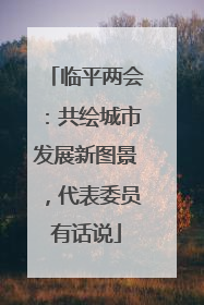 临平两会：共绘城市发展新图景，代表委员有话说