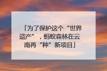 为了保护这个“世界遗产”，蚂蚁森林在云南再“种”新项目