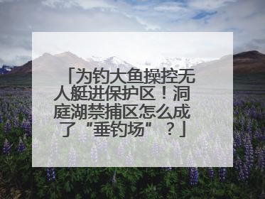 为钓大鱼操控无人艇进保护区！洞庭湖禁捕区怎么成了“垂钓场”？