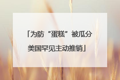 为防“蛋糕”被瓜分 美国罕见主动推销