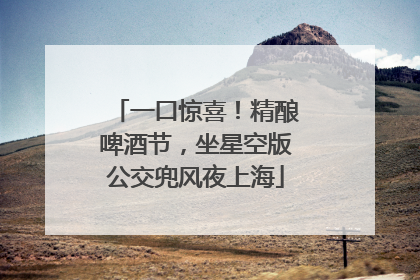 一口惊喜！精酿啤酒节，坐星空版公交兜风夜上海