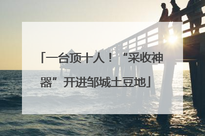 一台顶十人！“采收神器”开进邹城土豆地