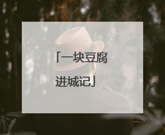 一块豆腐进城记