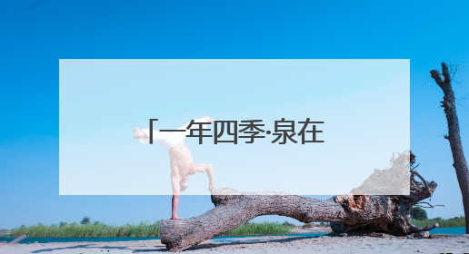 一年四季·泉在济南｜泉茶雅韵共芬芳 趵突泉名泉茗茶品鉴会举行