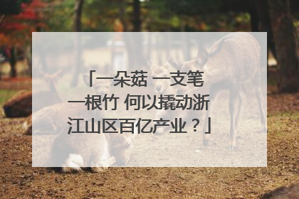 一朵菇 一支笔 一根竹 何以撬动浙江山区百亿产业？