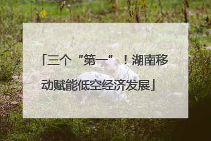 三个“第一”！湖南移动赋能低空经济发展