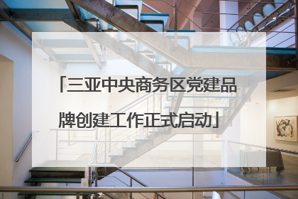 三亚中央商务区党建品牌创建工作正式启动
