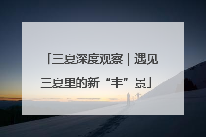 三夏深度观察｜遇见三夏里的新“丰”景