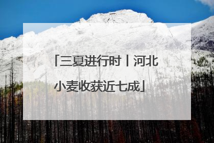 三夏进行时丨河北小麦收获近七成