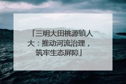 三明大田桃源镇人大：推动河流治理，筑牢生态屏障