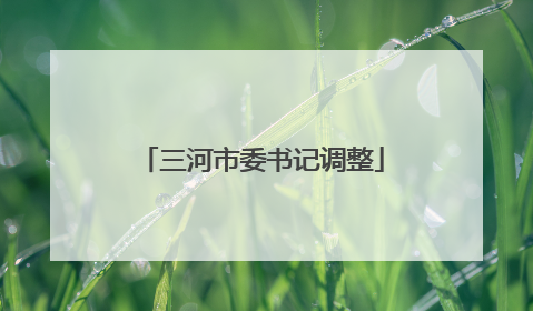 三河市委书记调整