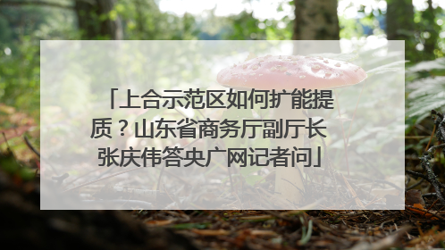 上合示范区如何扩能提质？山东省商务厅副厅长张庆伟答央广网记者问