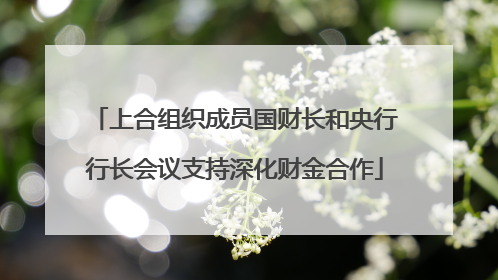 上合组织成员国财长和央行行长会议支持深化财金合作