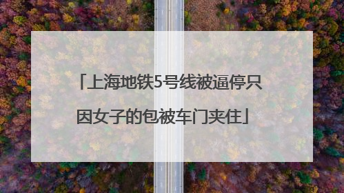 上海地铁5号线被逼停只因女子的包被车门夹住