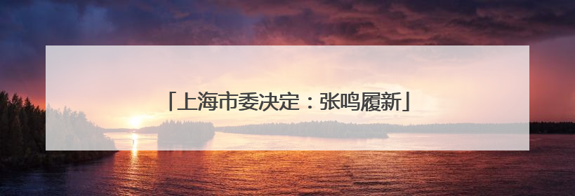 上海市委决定：张鸣履新