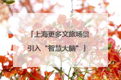 上海更多文旅场景引入“智慧大脑”