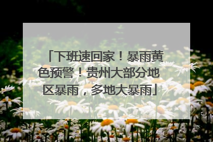 下班速回家!暴雨黄色预警!贵州大部分地区暴雨,多地大暴雨