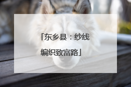 东乡县：纱线编织致富路