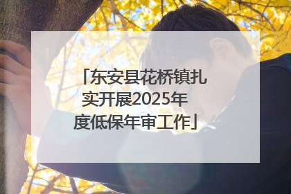东安县花桥镇扎实开展2025年度低保年审工作