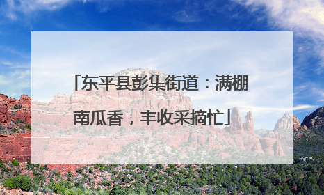 东平县彭集街道：满棚南瓜香，丰收采摘忙