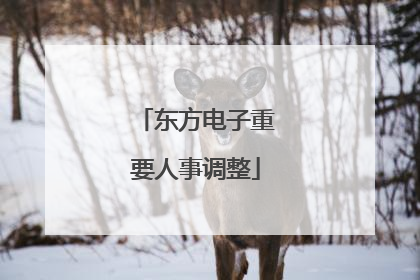 东方电子重要人事调整