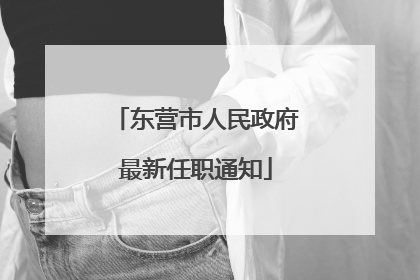 东营市人民政府最新任职通知