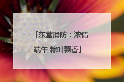 东营消防：浓情端午 粽叶飘香