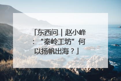 东西问｜赵小峰：“秦岭工坊”何以扬帆出海？