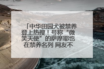 中华田园犬被禁养登上热搜！号称“微笑天使”的萨摩耶也在禁养名列 网友不解西安多部门回应