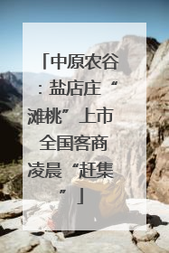 中原农谷：盐店庄“滩桃”上市 全国客商凌晨“赶集”