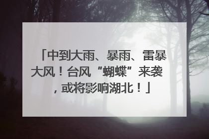 中到大雨、暴雨、雷暴大风！台风“蝴蝶”来袭，或将影响湖北！