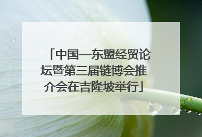 中国—东盟经贸论坛暨第三届链博会推介会在吉隆坡举行