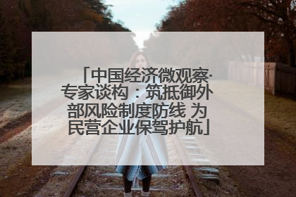 中国经济微观察·专家谈构：筑抵御外部风险制度防线 为民营企业保驾护航