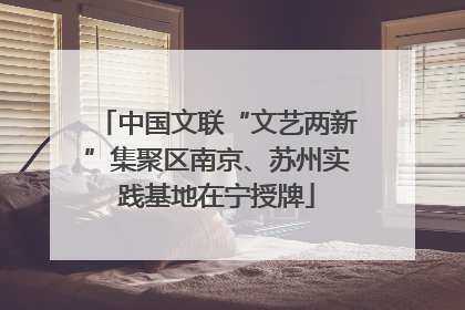 中国文联“文艺两新”集聚区南京、苏州实践基地在宁授牌