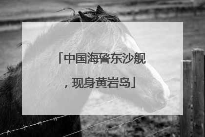 中国海警东沙舰，现身黄岩岛
