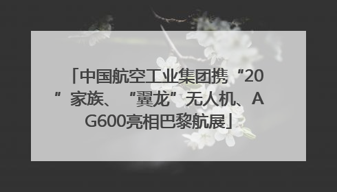 中国航空工业集团携“20”家族、“翼龙”无人机、AG600亮相巴黎航展