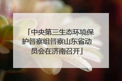 中央第三生态环境保护督察组督察山东省动员会在济南召开