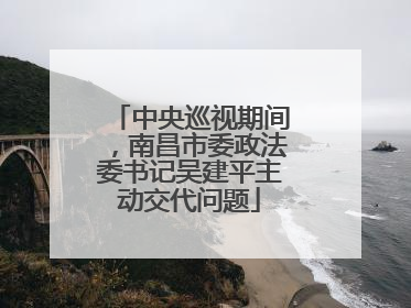 中央巡视期间，南昌市委政法委书记吴建平主动交代问题