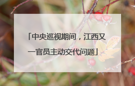 中央巡视期间，江西又一官员主动交代问题