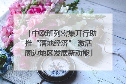 中欧班列密集开行助推“落地经济” 激活周边地区发展新动能