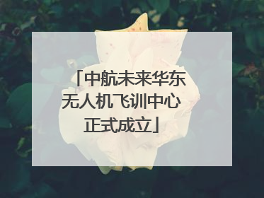中航未来华东无人机飞训中心正式成立