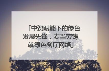 中资赋能下的绿色发展先锋，麦当劳铸就绿色餐厅网络