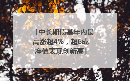 中长期债基年内最高涨超4%，超6成净值表现创新高