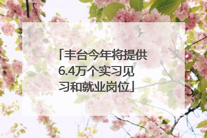 丰台今年将提供6.4万个实习见习和就业岗位