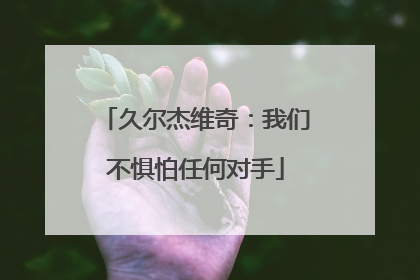 久尔杰维奇：我们不惧怕任何对手
