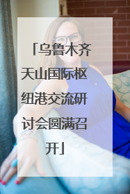 乌鲁木齐天山国际枢纽港交流研讨会圆满召开