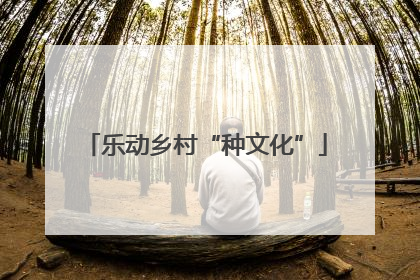 乐动乡村“种文化”