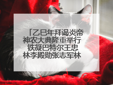 乙巳年拜谒炎帝神农大典隆重举行 铁凝巴特尔王忠林李殿勋张志军林中森等出席 孙伟主持