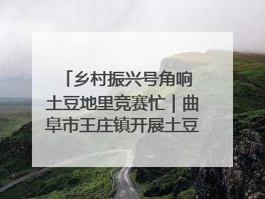 乡村振兴号角响 土豆地里竞赛忙｜曲阜市王庄镇开展土豆收获劳动竞赛