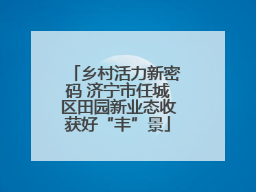 乡村活力新密码 济宁市任城区田园新业态收获好“丰”景